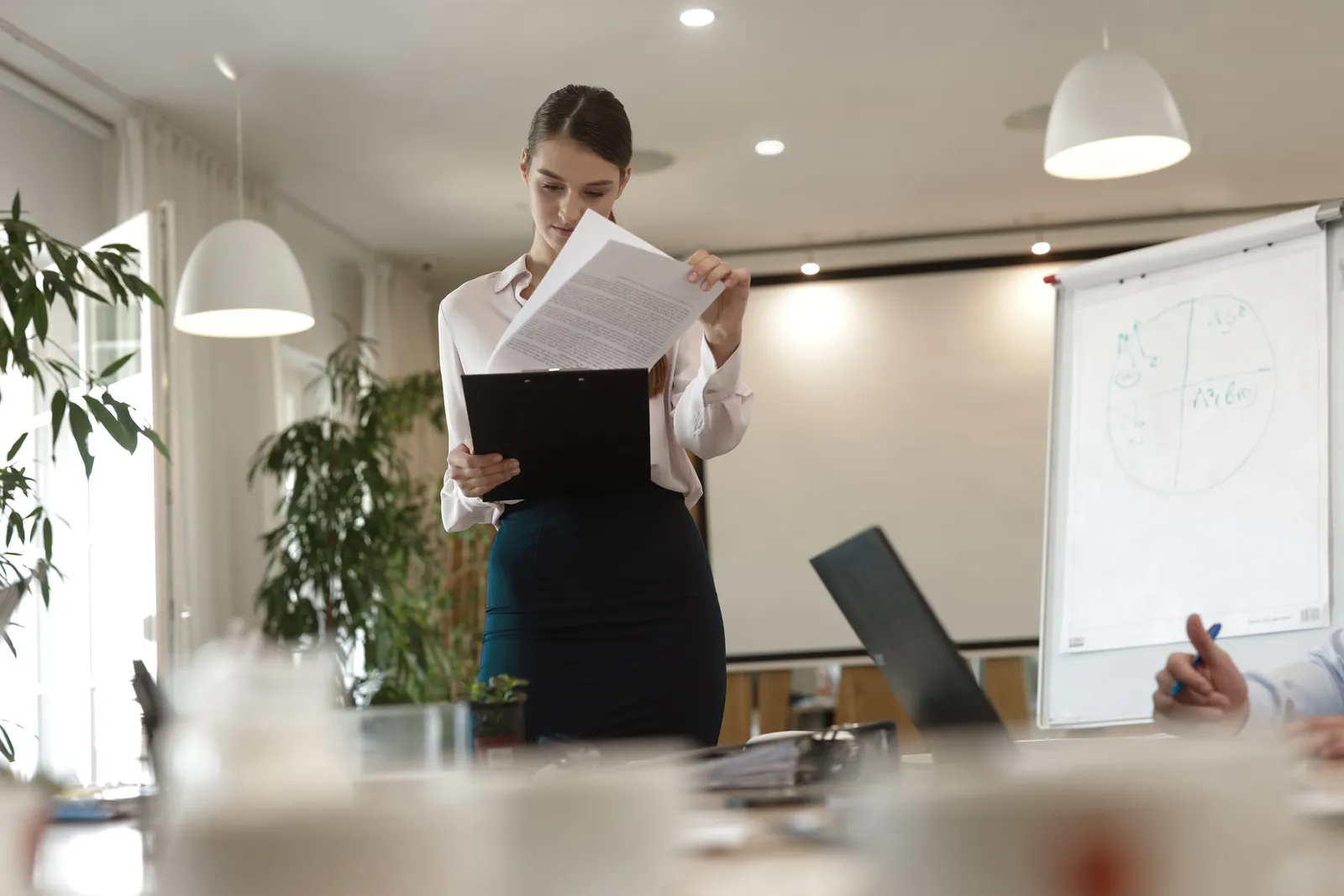 Legal Representation Know – How for Chile